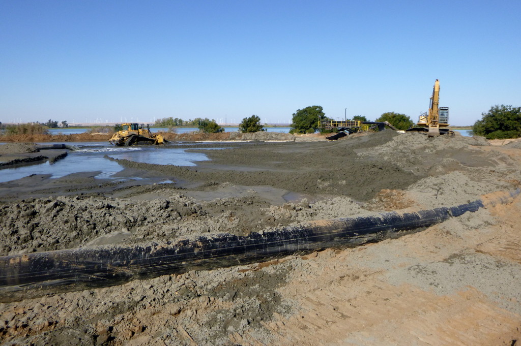 Antioch Dunes National Wildlife Refuge