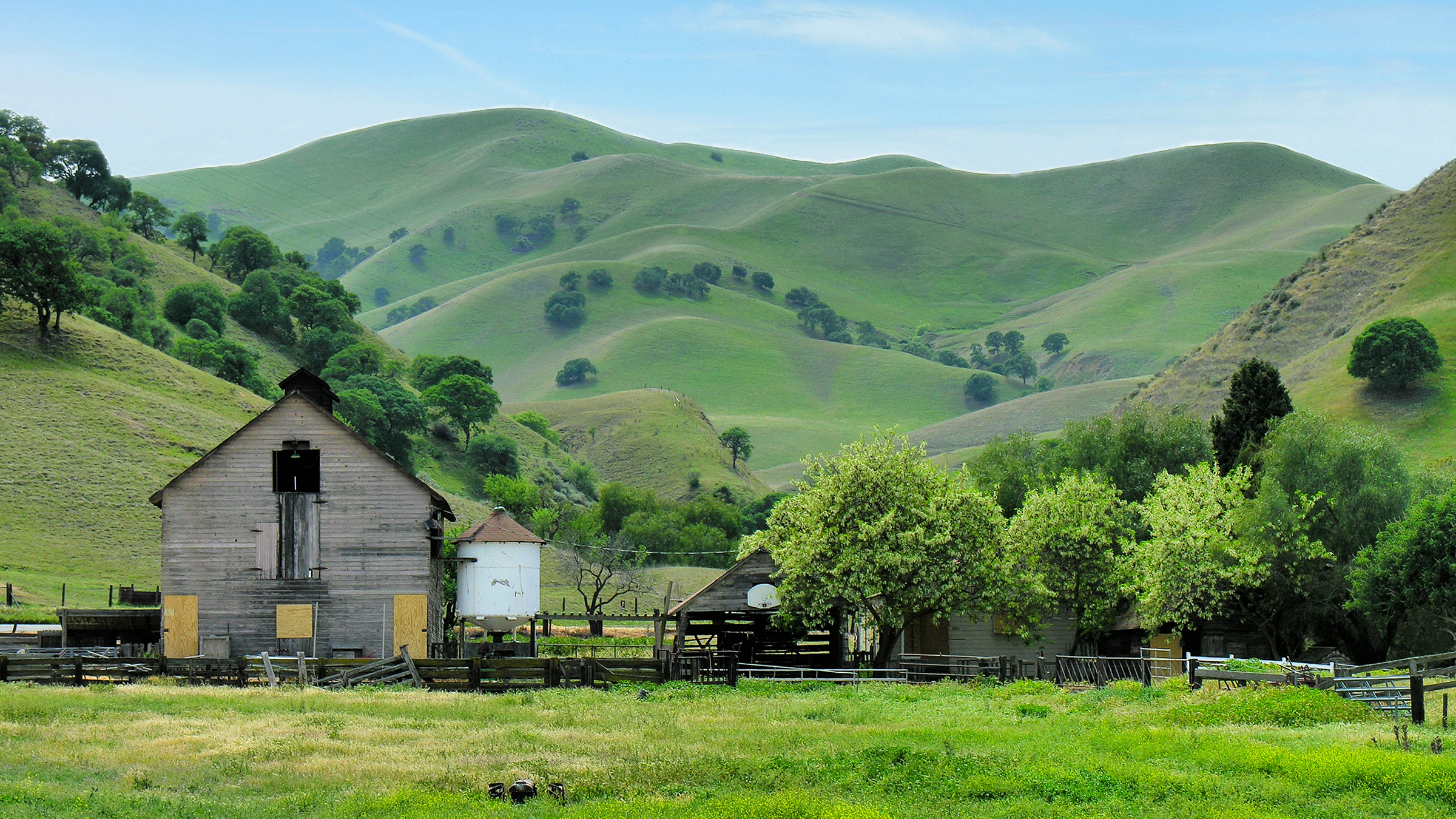 Black Diamond Mines Regional Preserve